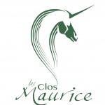 licorne vidéo vert
