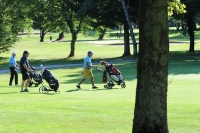 Visualiser l'album 11e National : Sur les greens et les fairways…