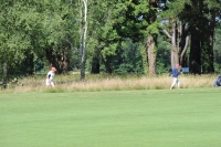 DSC_8236.JPG