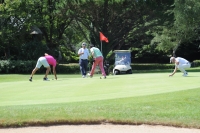 Visualiser l'album 11e National : Sur les greens et les fairways…