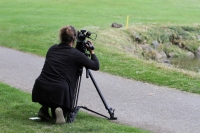 Visualiser l'album 11e National : Sur les greens et les fairways…