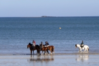 Visualiser l'album 15e National : La galerie photo