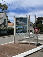 IMG_2079.jpeg